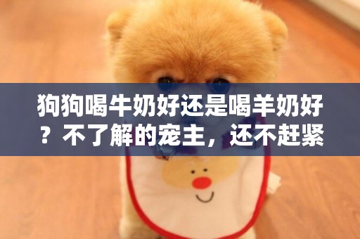 狗狗喝牛奶好還是喝羊奶好？不了解的寵主，還不趕緊湊過來 