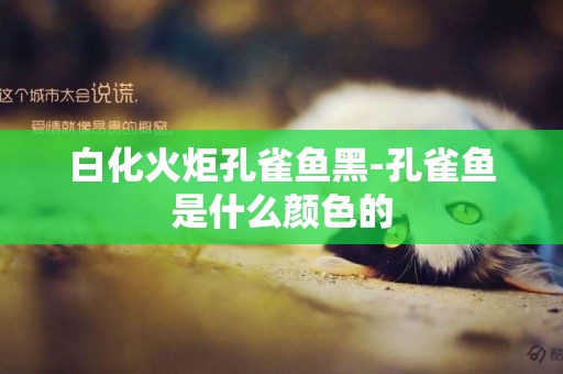 白化火炬孔雀魚黑-孔雀魚是什么顏色的