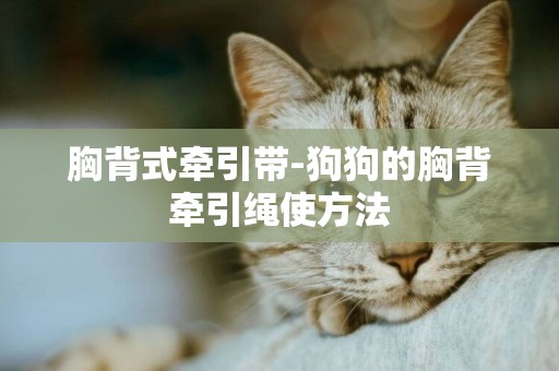 胸背式牽引帶-狗狗的胸背牽引繩使方法
