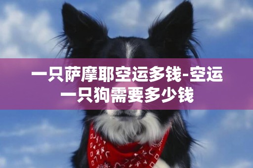 一只薩摩耶空運多錢-空運一只狗需要多少錢