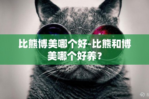 比熊博美哪個好-比熊和博美哪個好養？