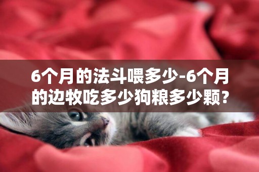 6個月的法斗喂多少-6個月的邊牧吃多少狗糧多少顆？