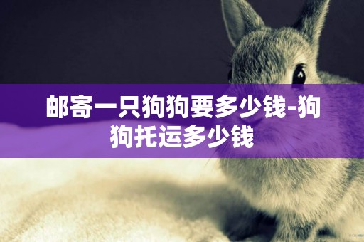 郵寄一只狗狗要多少錢-狗狗托運多少錢