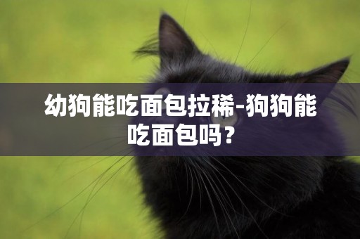 幼狗能吃面包拉稀-狗狗能吃面包嗎？