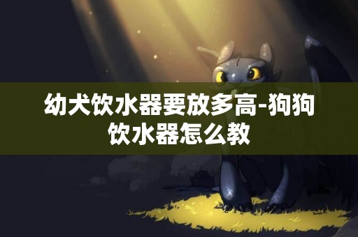 幼犬飲水器要放多高-狗狗飲水器怎么教
