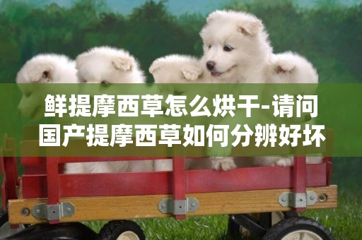鮮提摩西草怎么烘干-請問國產提摩西草如何分辨好壞？