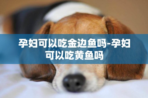 孕婦可以吃金邊魚嗎-孕婦可以吃黃魚嗎