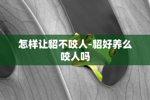 怎樣讓貂不咬人-貂好養么咬人嗎