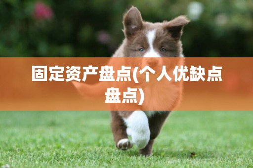 固定資產盤點(個人優缺點盤點) 