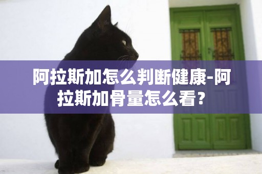 阿拉斯加怎么判斷健康-阿拉斯加骨量怎么看？