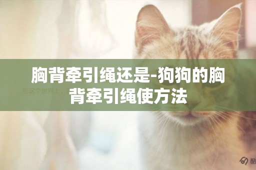 胸背牽引繩還是-狗狗的胸背牽引繩使方法