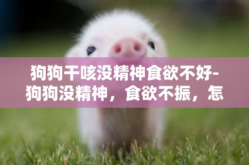 狗狗干咳沒精神食欲不好-狗狗沒精神，食欲不振，怎么辦？
