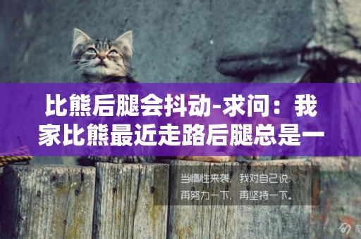 比熊后腿會抖動-求問：我家比熊最近走路后腿總是一跳一跳的，剛開始還以為它逗我們玩呢，有相同的情況嗎？