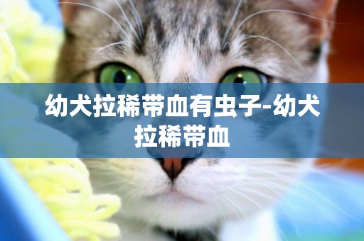 幼犬拉稀帶血有蟲子-幼犬拉稀帶血