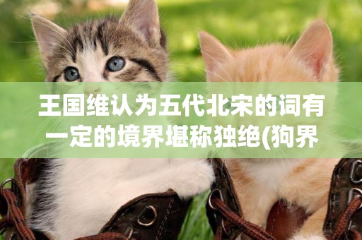 王國維認為五代北宋的詞有一定的境界堪稱獨絕(狗界三大傻) 