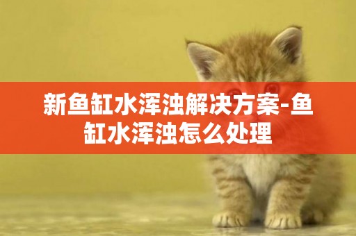 新魚缸水渾濁解決方案-魚缸水渾濁怎么處理