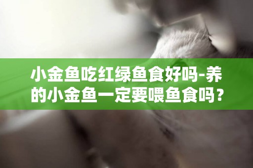 小金魚吃紅綠魚食好嗎-養的小金魚一定要喂魚食嗎？