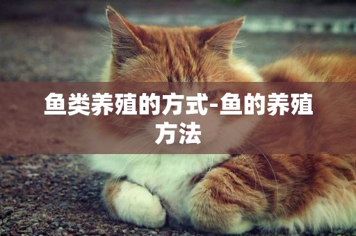 魚類養殖的方式-魚的養殖方法