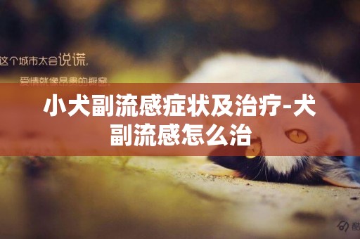 小犬副流感癥狀及治療-犬副流感怎么治
