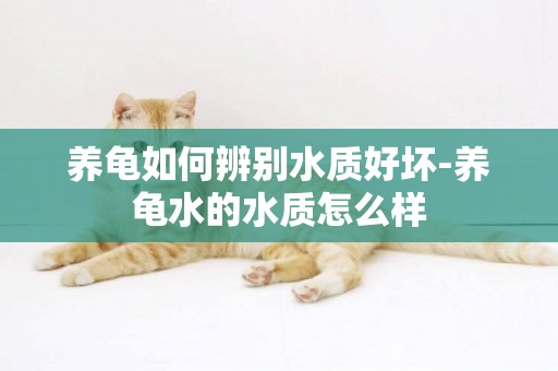 養龜如何辨別水質好壞-養龜水的水質怎么樣