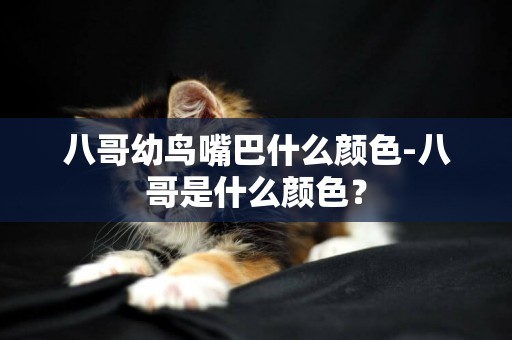 八哥幼鳥嘴巴什么顏色-八哥是什么顏色？
