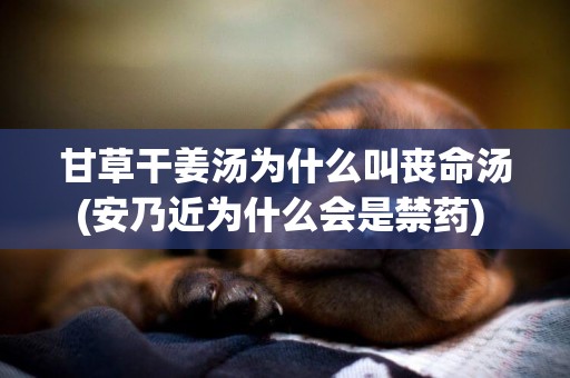 甘草干姜湯為什么叫喪命湯(安乃近為什么會是禁藥) 