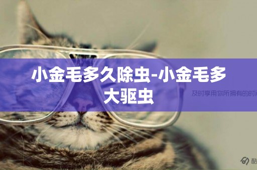 小金毛多久除蟲-小金毛多大驅蟲