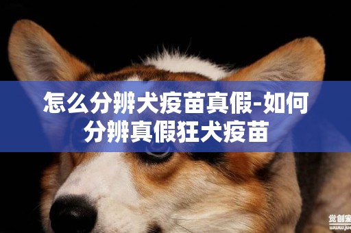 怎么分辨犬疫苗真假-如何分辨真假狂犬疫苗