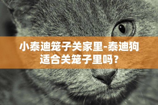 小泰迪籠子關家里-泰迪狗適合關籠子里嗎？