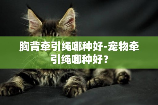 胸背牽引繩哪種好-寵物牽引繩哪種好？