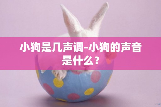 小狗是幾聲調-小狗的聲音是什么？