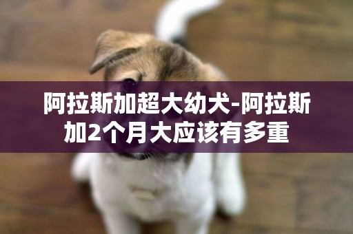 阿拉斯加超大幼犬-阿拉斯加2個月大應該有多重