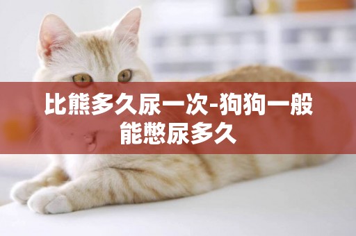 比熊多久尿一次-狗狗一般能憋尿多久
