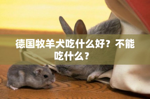 德國牧羊犬吃什么好？不能吃什么？ 