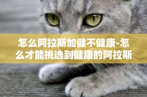 怎么阿拉斯加健不健康-怎么才能挑選到健康的阿拉斯加？