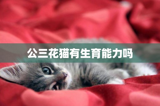 公三花貓有生育能力嗎