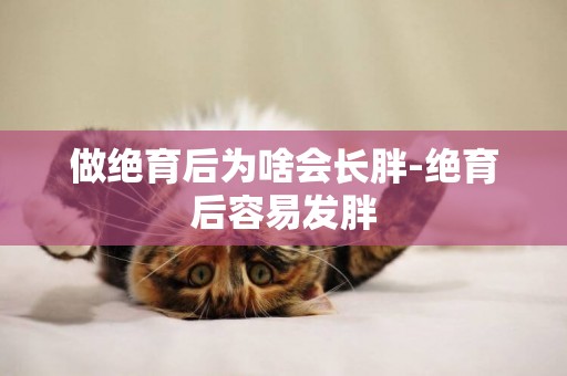 做絕育后為啥會長胖-絕育后容易發胖