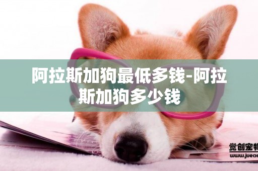 阿拉斯加狗最低多錢-阿拉斯加狗多少錢