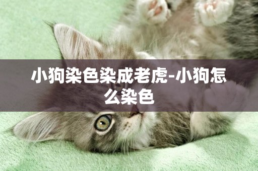 小狗染色染成老虎-小狗怎么染色