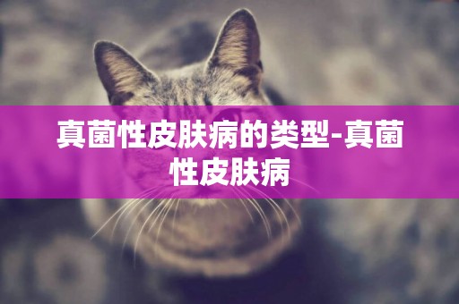 真菌性皮膚病的類型-真菌性皮膚病