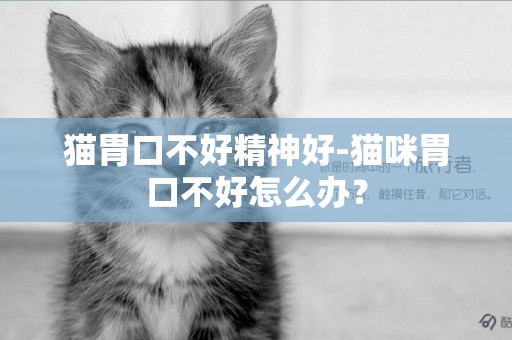 貓胃口不好精神好-貓咪胃口不好怎么辦？