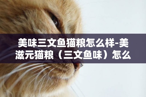 美味三文魚貓糧怎么樣-美滋元貓糧（三文魚味）怎么樣
