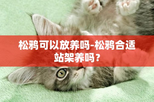 松鴉可以放養嗎-松鴉合適站架養嗎？