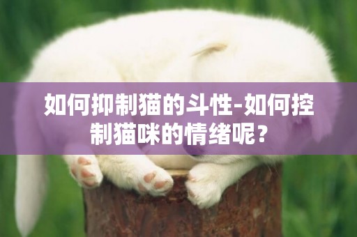 如何抑制貓的斗性-如何控制貓咪的情緒呢？