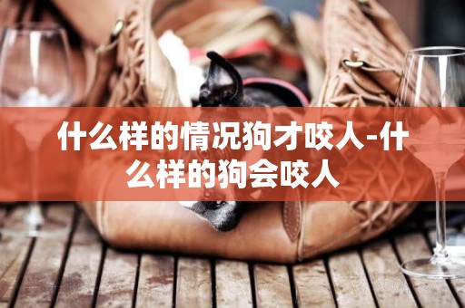 什么樣的情況狗才咬人-什么樣的狗會咬人