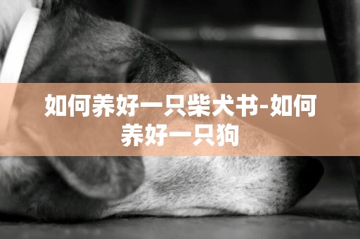 如何養好一只柴犬書-如何養好一只狗