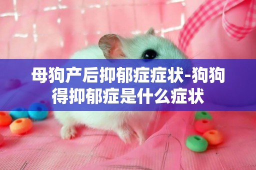 母狗產后抑郁癥癥狀-狗狗得抑郁癥是什么癥狀