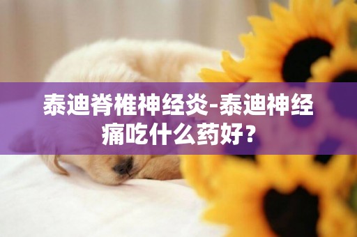 泰迪脊椎神經炎-泰迪神經痛吃什么藥好？
