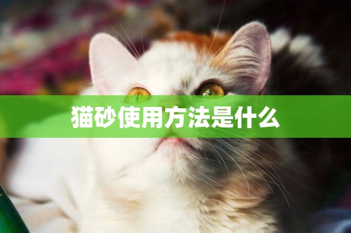 貓砂使用方法是什么