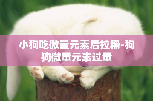 小狗吃微量元素后拉稀-狗狗微量元素過量